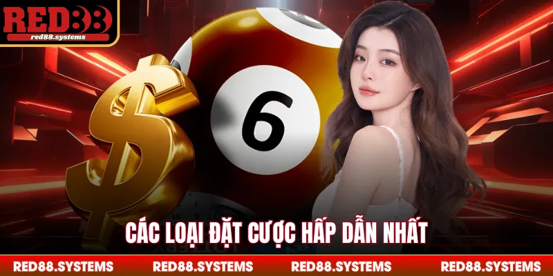 Các loại đặt cược hấp dẫn nhất