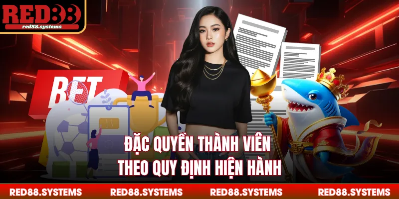 Đặc quyền thành viên theo quy định hiện hành