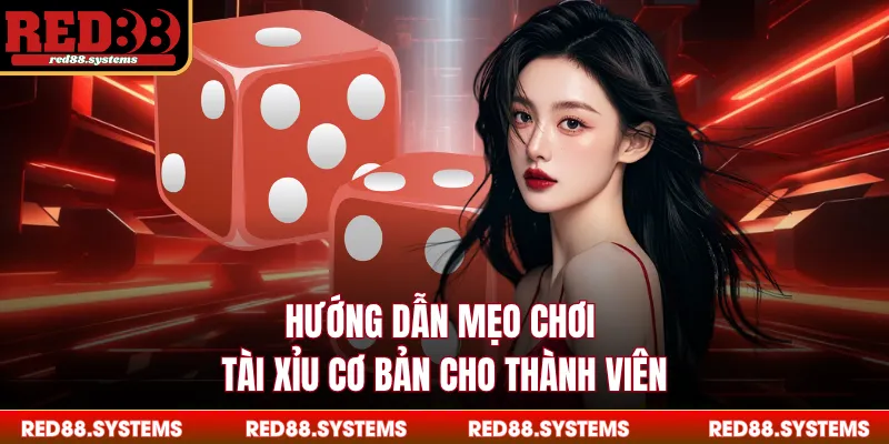 Hướng dẫn mẹo chơi tài xỉu cơ bản cho thành viên